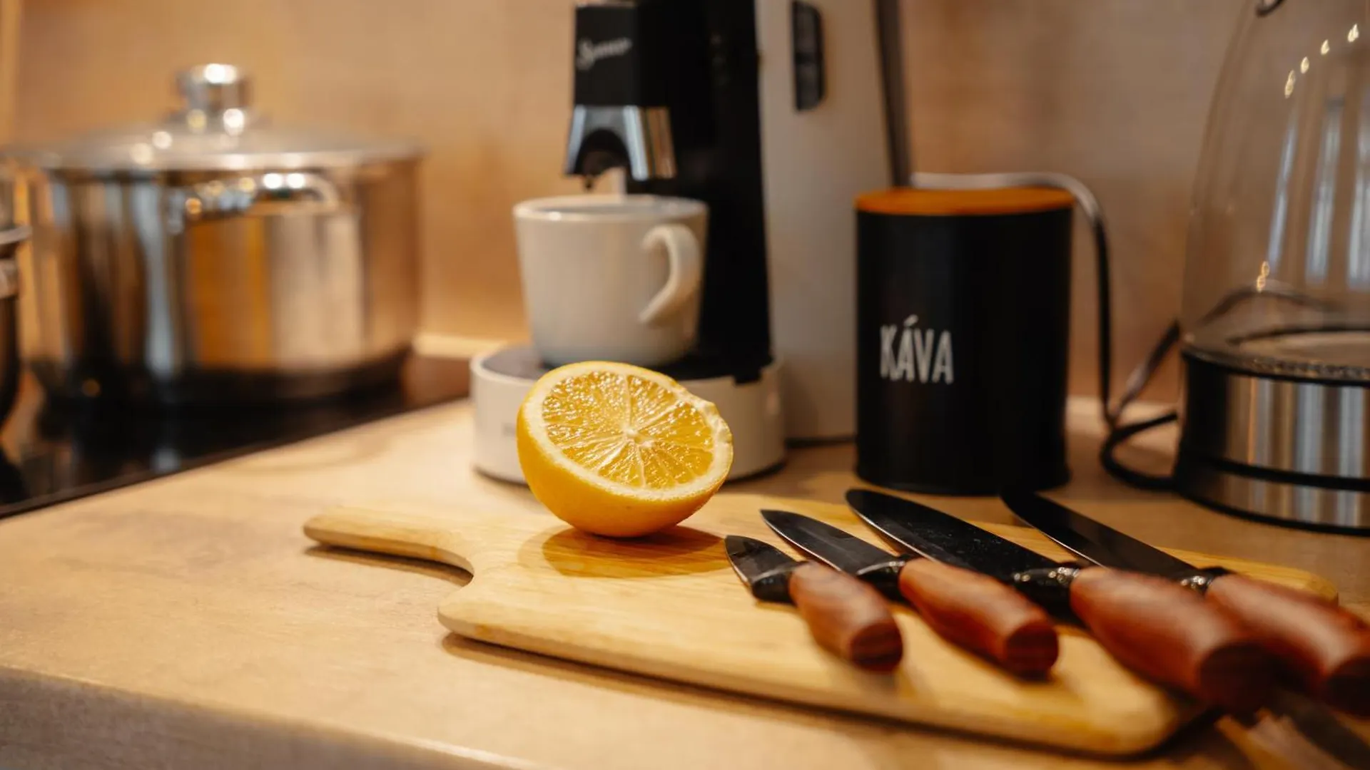 公寓式酒店 Wagnerstays 2Bd Suites City Center Residence 布拉格 捷克